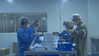 綿陽梓潼 生物醫(yī)藥企業(yè)開足馬力保生產(chǎn) 技術研發(fā)驅動防疫物資供應