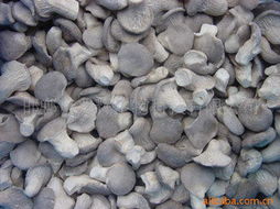 邯鄲市兆輝生物科技 深耕生物技術開發，打造多元化高品質食用菌產品矩陣